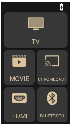 HSH RC20R TV Remote - Movie 1