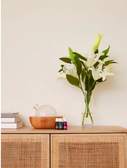 YUMPU 101 Aroma Wellness Diffuser - Fig 1