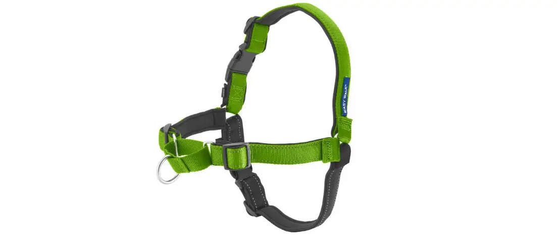 Petsafe Easy Walk Harness User Manual Petsafe Easy Walk Harness User Manual