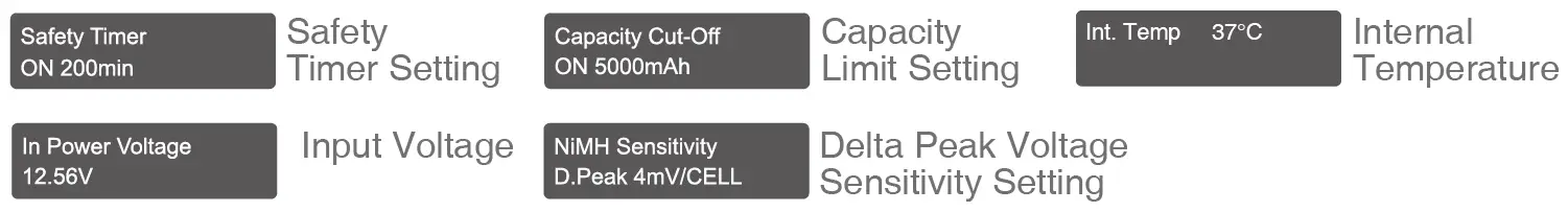 SKYRC T400Q AC DC Quattro Balance Charger Discharger 19