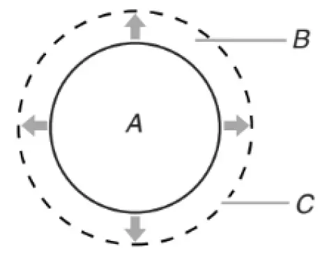 Whirlpool W11523785B Freestanding Electric Range 2