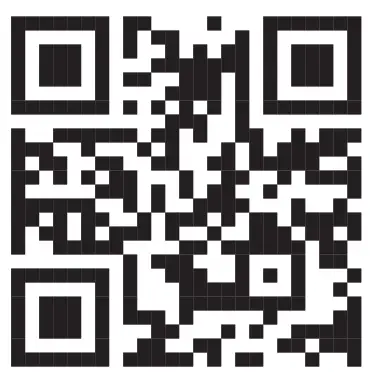 WALDBECK Fruit Punch 20 40 Fruit Press - qr