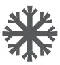 Frozen icon