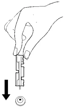 bioland G-425-3 Blood Glucose Meter - remove the lancet