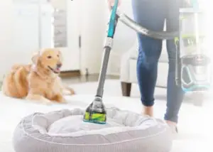 Bissell-2087-Specialized- Pet-Tools