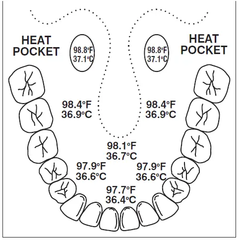 oral temperature