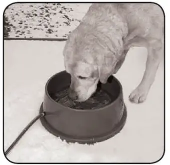 K H 22654364 Thermal Bowl Lectro-Temp Control