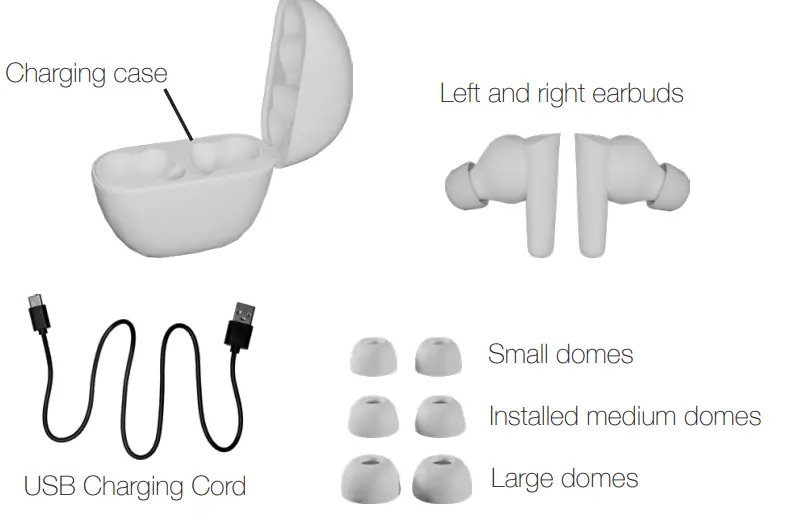ZVOX-AccuVoice-True-Wireless-Earbuds-1