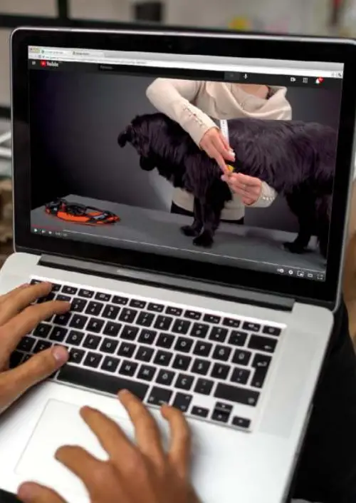 JULIUS-K9-162R2-K9-Powerharness-Dog-Harness-FIG-1