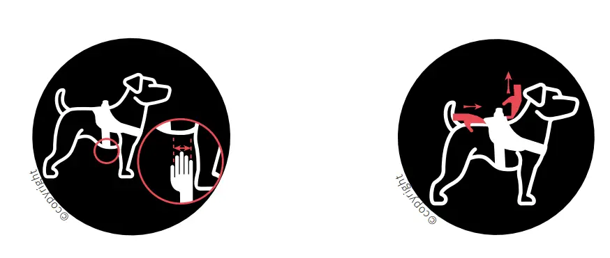 JULIUS-K9-162R2-K9-Powerharness-Dog-Harness-FIG-5