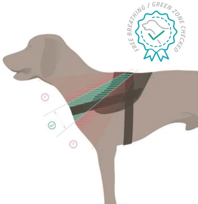 JULIUS-K9-162R2-K9-Powerharness-Dog-Harness-FIG-6