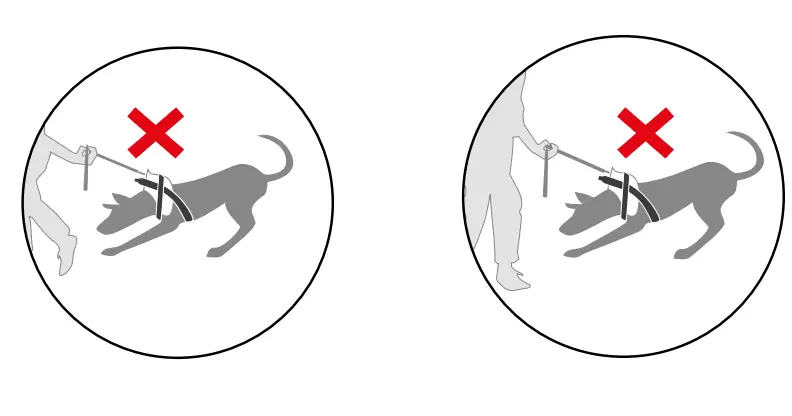 JULIUS-K9-162R2-K9-Powerharness-Dog-Harness-FIG-7