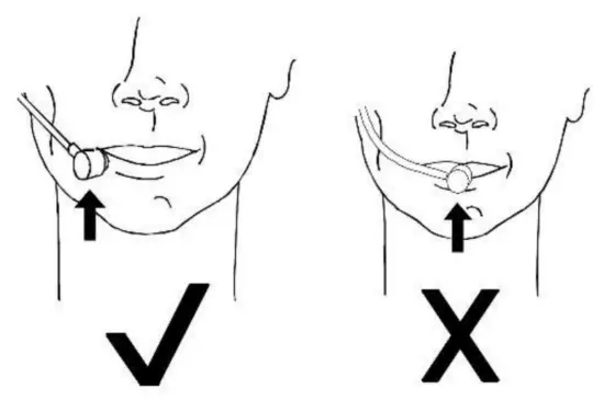 Using the Microphone