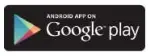 Google Play Store Icon