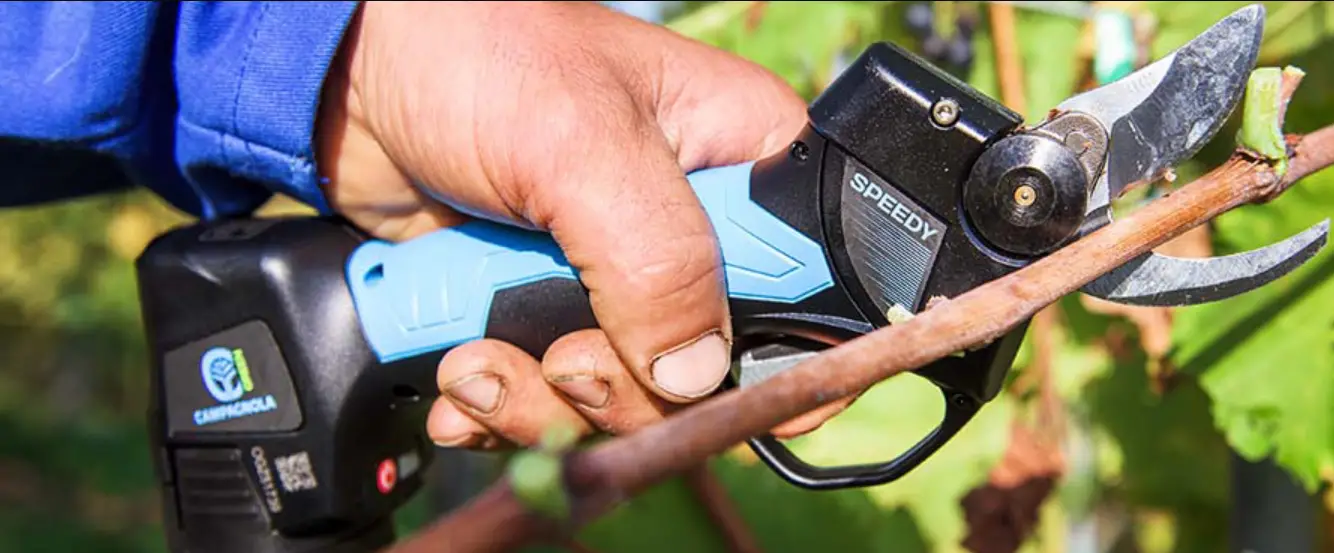 Volpi Pv295 Electrical Pruning Shear User Manual Volpi Pv295 Electrical Pruning Shear User Manual