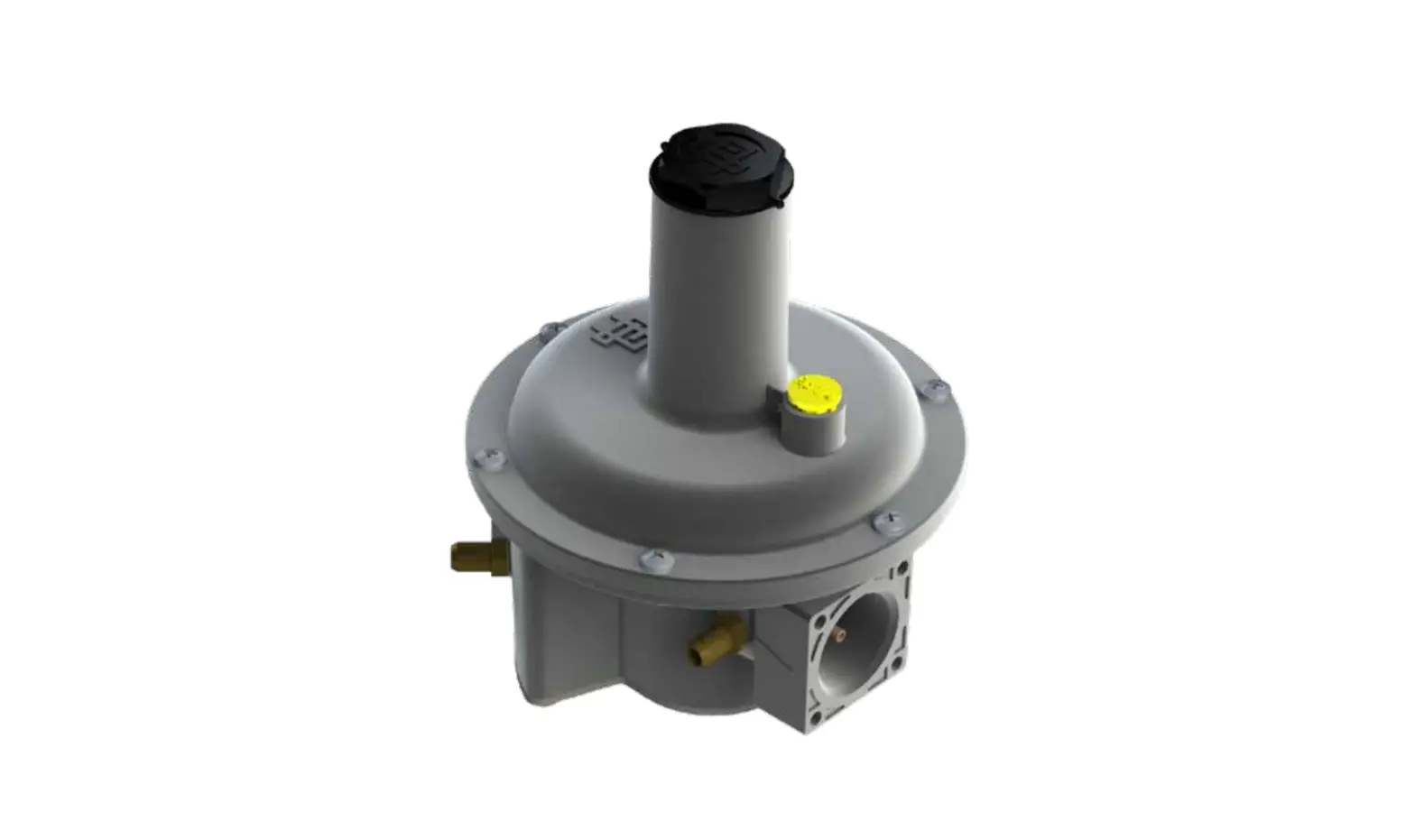 Watts Fg1b Series Gas Pressure Governor Installation Guide