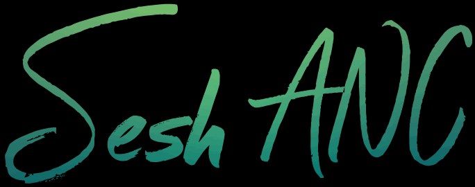 Skullcandy S2TEW Sesh Active Noise Cancelling True Wireless Earbuds - ICON 6