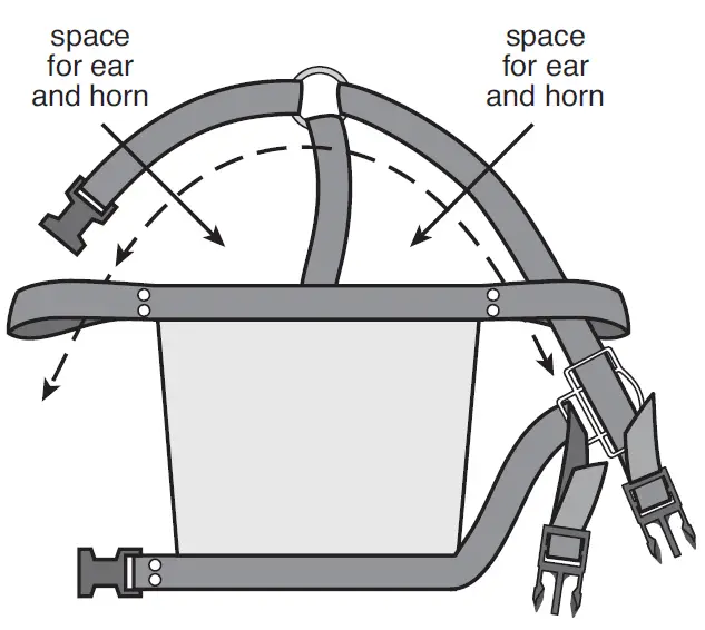 PREMIER 1 505900 Horned Ram Shield 1