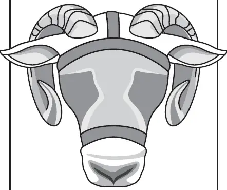 PREMIER 1 505900 Horned Ram Shield 2