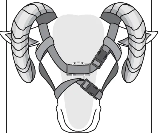 PREMIER 1 505900 Horned Ram Shield 3