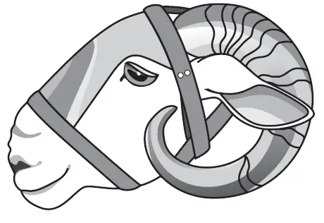 PREMIER 1 505900 Horned Ram Shield 4