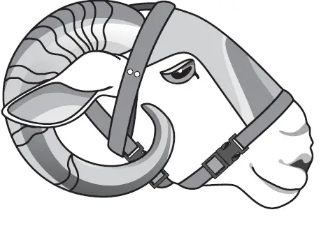 PREMIER 1 505900 Horned Ram Shield 7