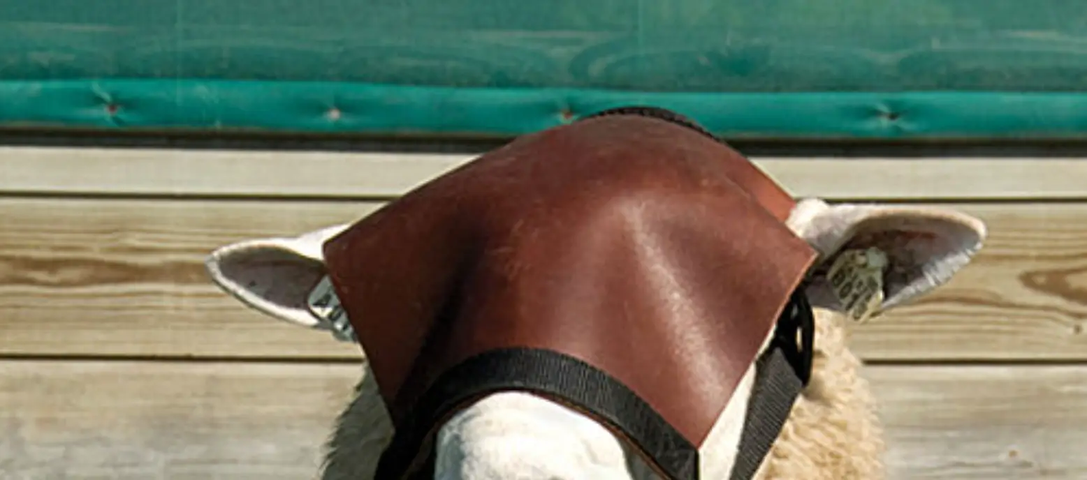 Premier 1 505900 Horned Ram Shield User Manual Premier 1 505900 Horned Ram Shield User Manual