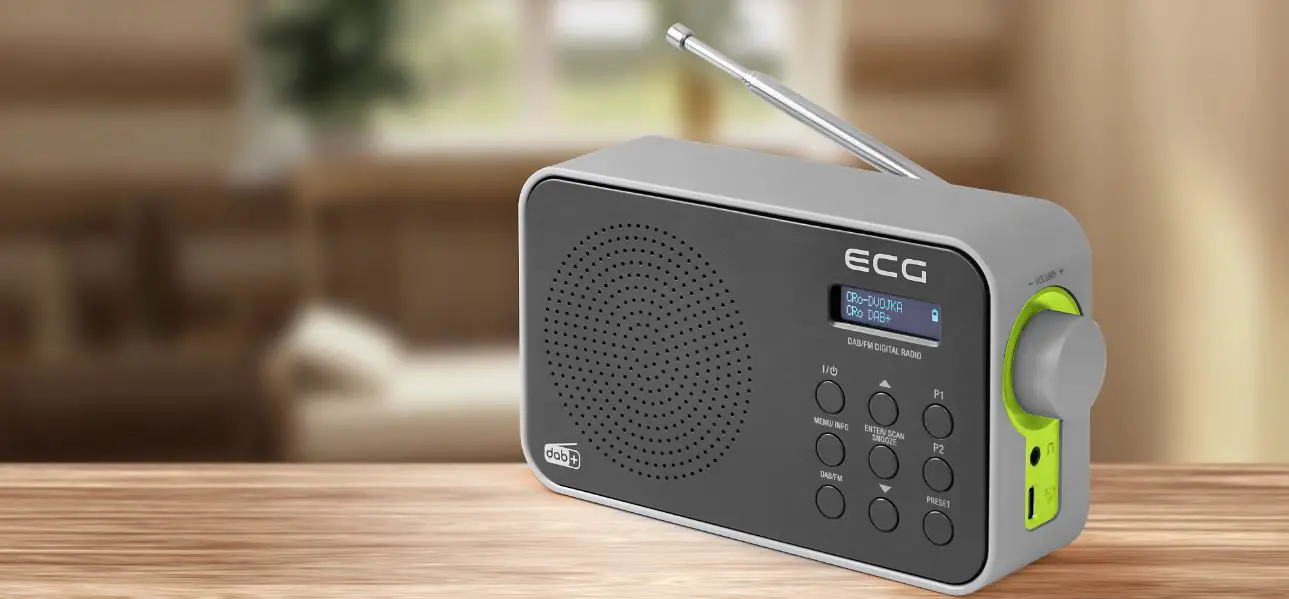 Ecg Rd 110 Dab Dab +-fm Portable Radio With Alarm Clock Instruction Manual