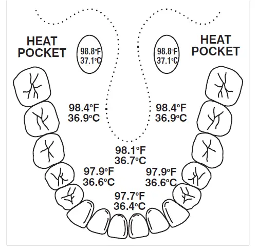 Oral-Temperature