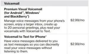 Optional services pricing fig 4