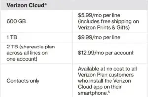 Optional services pricing fig 6