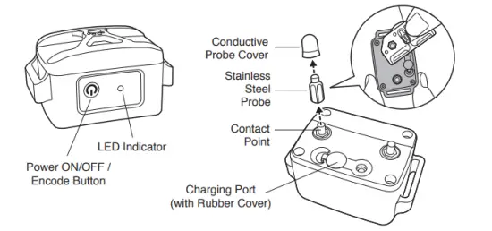 Electronic Fencing P21 Pet Trainer Waterproof Remote Electric Control Dog Training Rechargeable Shock Collar - figure 3