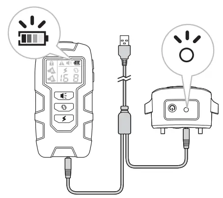 Electronic Fencing P21 Pet Trainer Waterproof Remote Electric Control Dog Training Rechargeable Shock Collar - figure 4