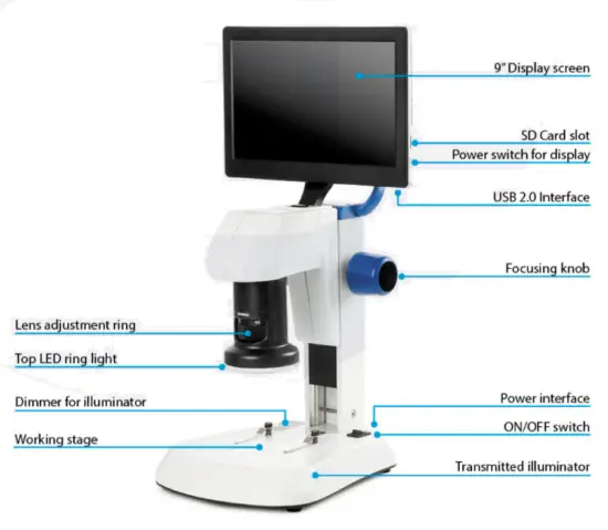 euromex ED.3000 Blue Line Series Microscope - Component