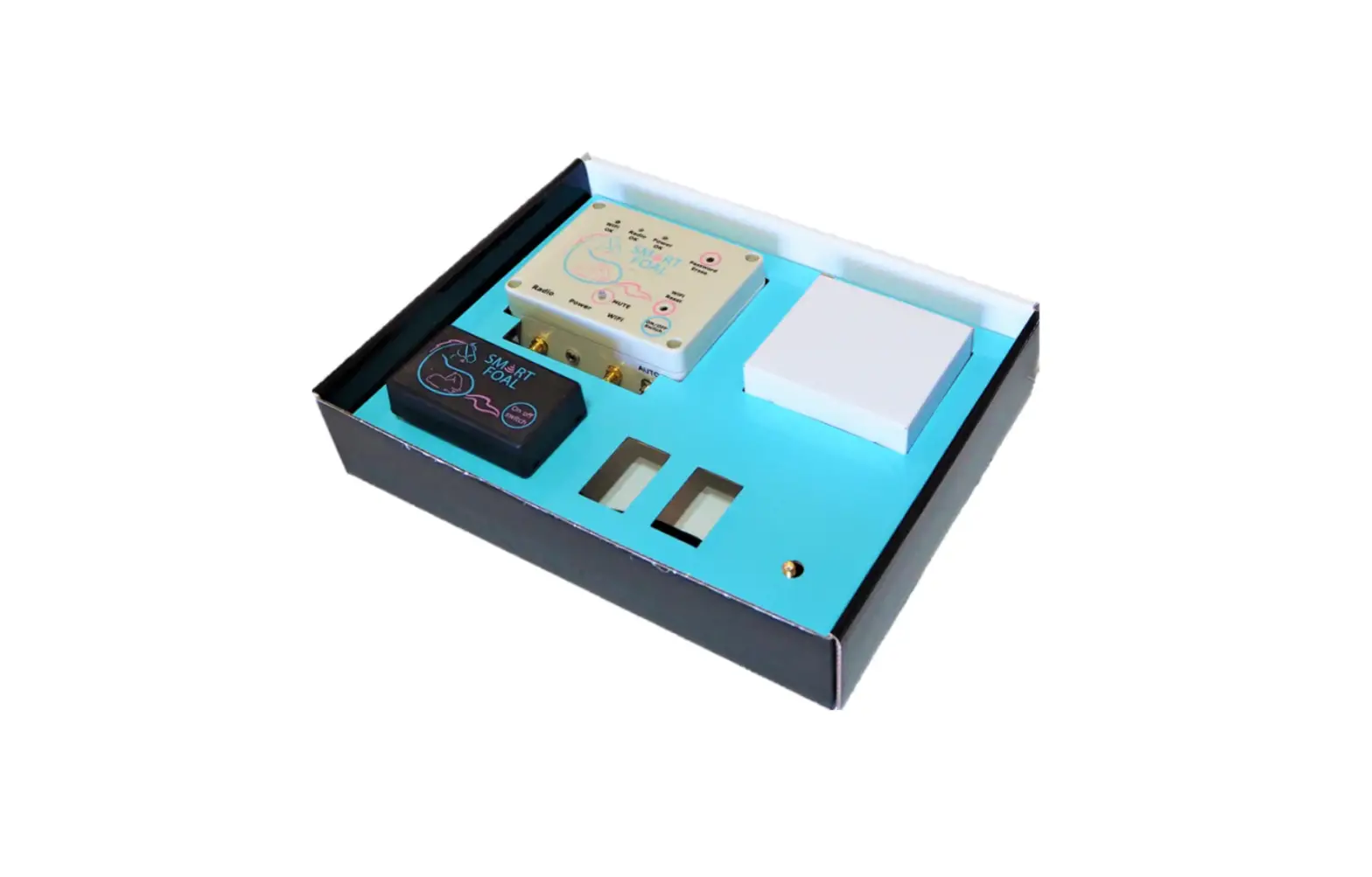 Smart Foal Bsh20 Foaling Alarm System Instruction Manual