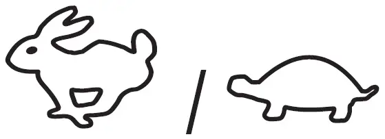 AL-KO SP-A Petrol Lawnmower 42