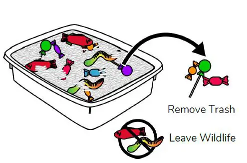 FIG 20 Beach Cleanup.JPG