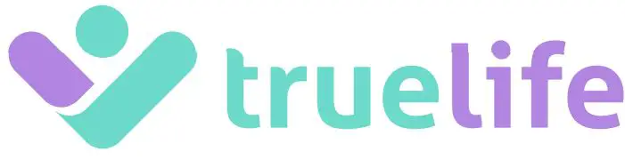 truelife-H3-Portable-Air-Humidifier-LOGO