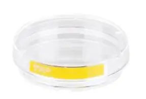 TPP-93040-Tissue-Culture-Dish-PRODUCT