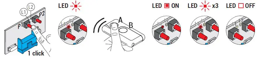 ROGER-SYNUS-2-Radiocomando-Radio-Transmitter-FIG-2