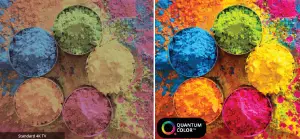 Vizio 2019 P-Series Quantum X 4K HDR Smart TV User Manual