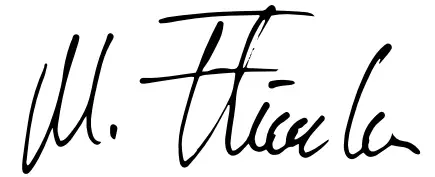 STIHL GH 370 S Powerful Petrol Shredder - SING 1