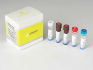 PRAXISDIENST-HPV-Genotyping-Real-Time-PCR-Kit-product-image