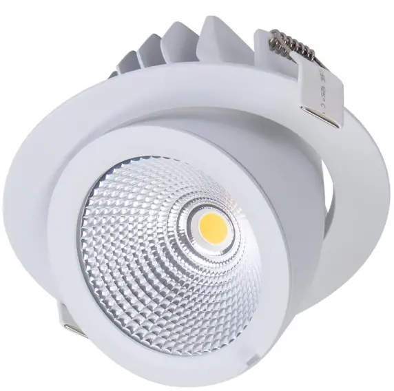 DOMUS-SCOOP-25-Round-Adjustable-LED-Downlight-PRODUCT