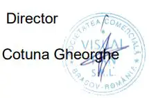 ALLVIEW 50ePlay6100-U 4K Ultra HD Smart TV Android User Guide - Director