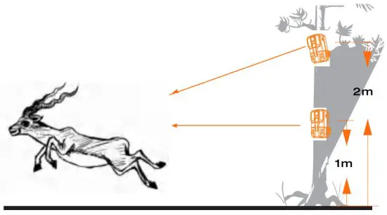 EZETAI B08TMPWCBM Wi-Fi Trail Camera - field