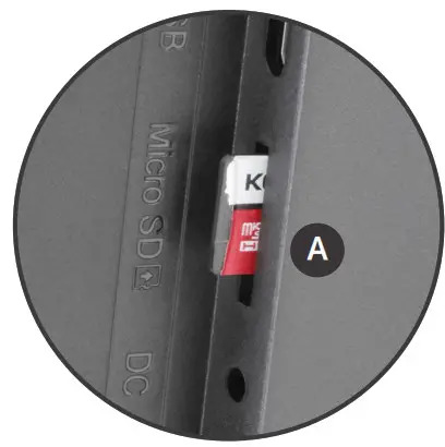 Aluratek ADPFR09 9 Inch Multimedia Digital Photo Frame- Viewing Photos