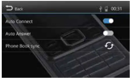 BLAUPUNKT CAr Multimedia Bt