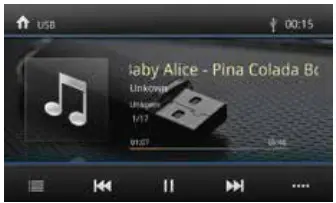 BLAUPUNKT CAr Multimedia usb 15