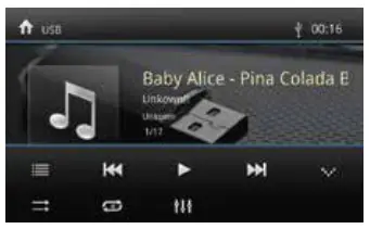 BLAUPUNKT CAr Multimedia usb